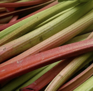 rhubarb mount rainier ecofarm